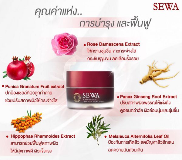 Sewa Rose Whitening Day Cream SPF50+ PA++++ - Image 3