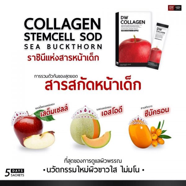 DW Collagen - Image 6