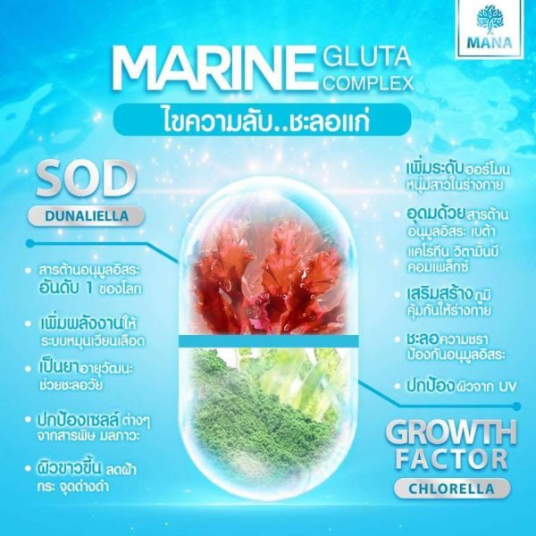 MANA Marine Gluta Complex - Image 4